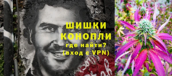 мдпв Каменногорск