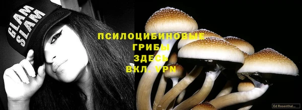 spice Каменск-Шахтинский