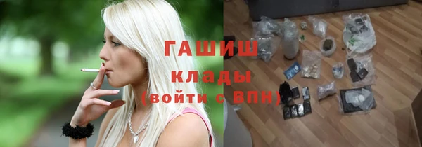 мдпв Каменногорск