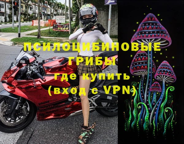 мдпв Каменногорск
