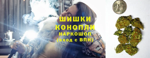 мдпв Каменногорск