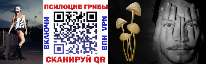 Псилоцибиновые грибы GOLDEN TEACHER  Купить где  Долгопрудный 